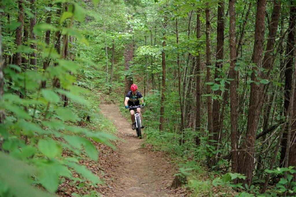 הוילה ברייסון סיטי Honeymoon Getaway In Woods Near Noc And Smoky Mtn Rr מראה חיצוני תמונה